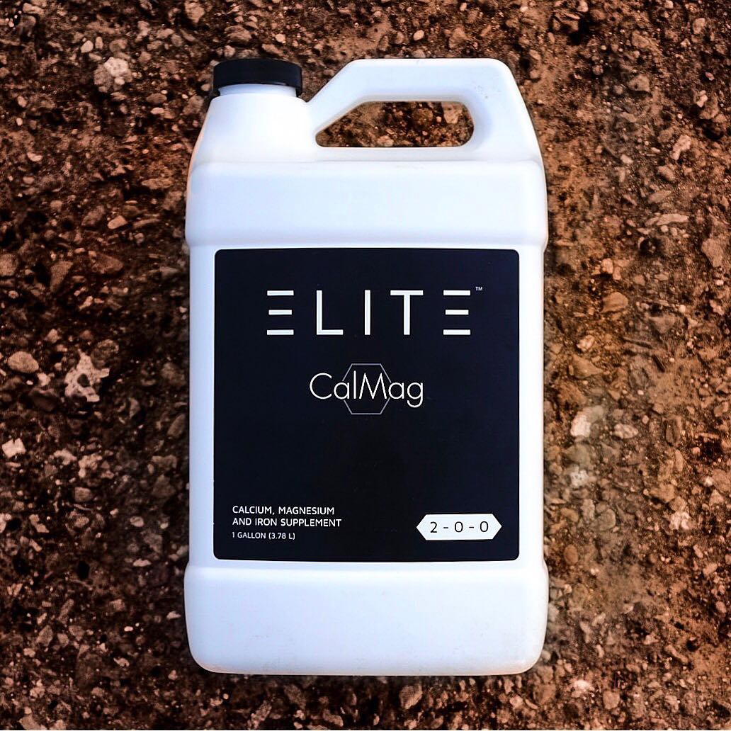 ELITE GARDEN x GVV
